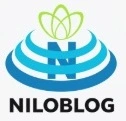 Network Admin